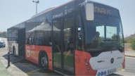 Servicios especiales de transporte para la Feria y Fiestas de Moros y Cristianos en Murcia