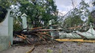 Granizo, ventisca y lluvia dejan al menos 3 árboles derribados