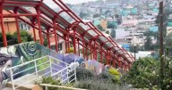 Abandono en Álvaro Obregón: Millones de pesos gastados en escaleras eléctricas que no funcionan