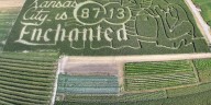 Back into the Hedge Maze: Metro area field dazzles with new Swift/Kelce inspired labyrinth