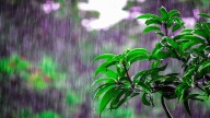 Odisha gears up to face heavy rain, puts districts on high alert