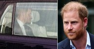 Inside King Charles and Prince Harry's 53