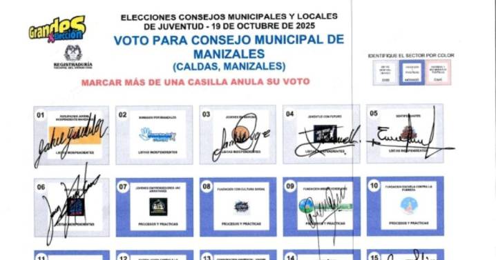 Así sería el boceto de la tarjeta electoral del Consejo Municipal de Juventud: en Manizales ya hubo sorteo