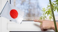 Adiós a la humedad en casa con el truco japonés que te va a salvar la vida