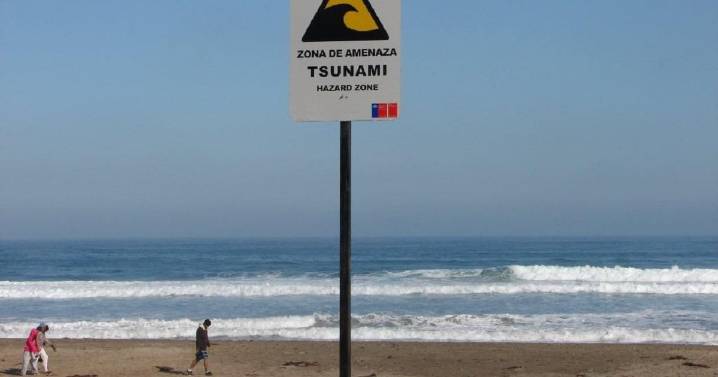 SHOA descarta posibilidad de tsunami en costas chilenas tras sismo de magnitud 7,5 en Rusia