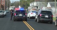 Police officer shoots dog during traffic stop