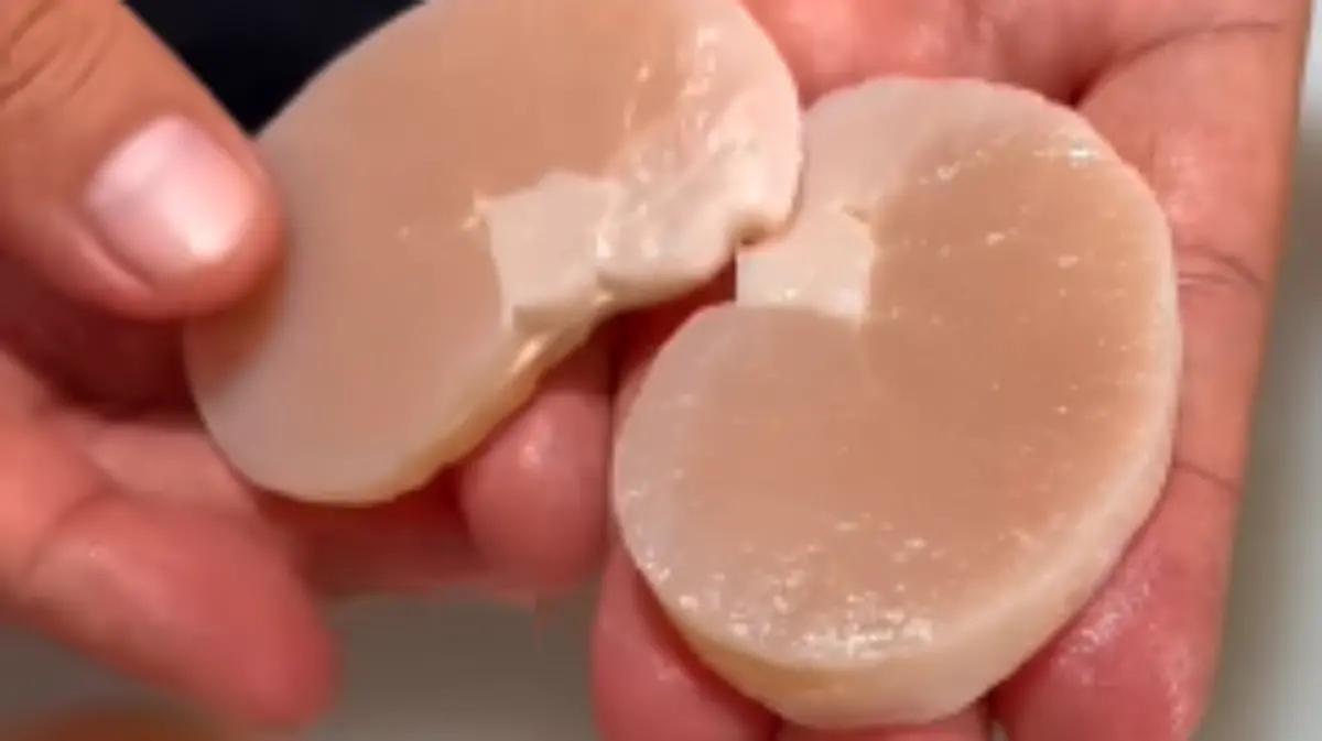 Extienden veda del callo de hacha en Sonora hasta noviembre de 2025
