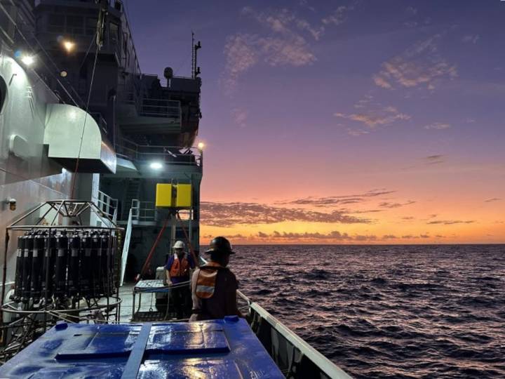 El calentamiento oceánico amenaza a unos microbios esenciales para la fotosíntesis global
