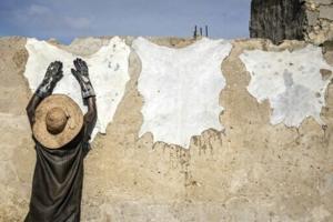 Sought by luxury labels, Nigerian leather reclaims home market