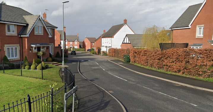 Dog's death being investigated after alleged biting incident