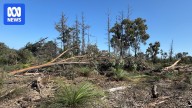Conservation notice issued for alleged native vegetation clearing at Chittering