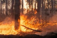 La Junta detalla su plan de 114 millones para la recuperación de las zonas afectadas por incendios
