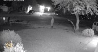 Pima County Sheriff's Department looking for suspect in alleged Southside attack