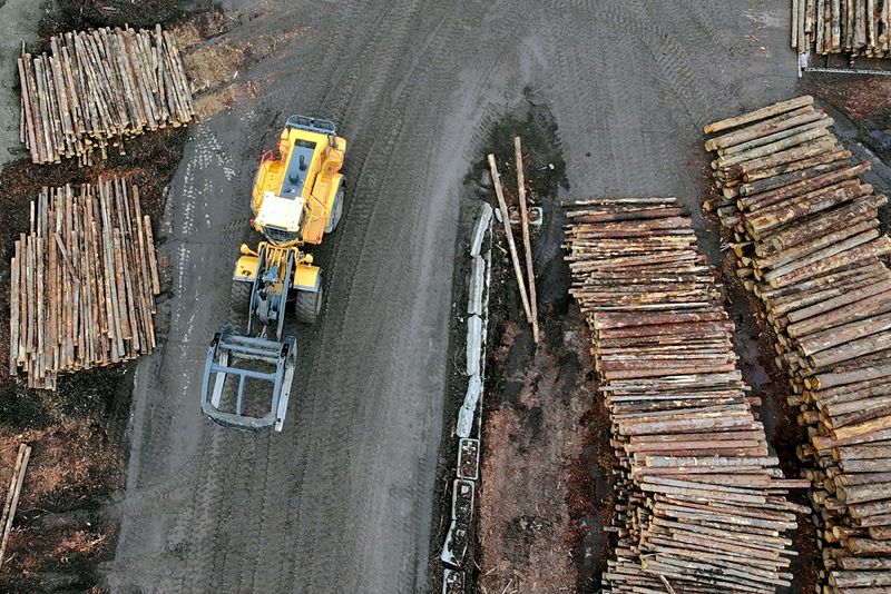 Trump sets 10% tariff on lumber imports, 25% on cabinets and furniture