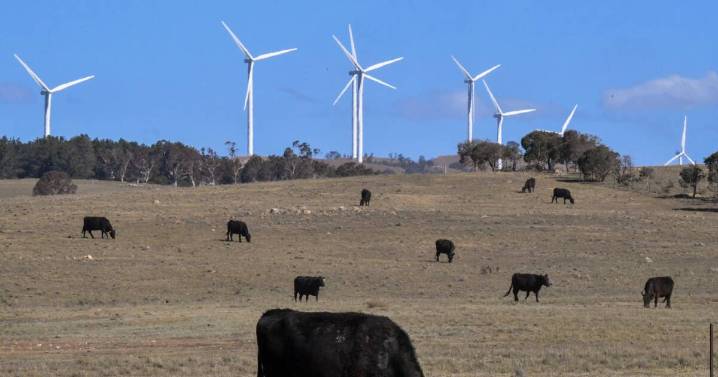 Empowering Aussies with discounted locally generated green power