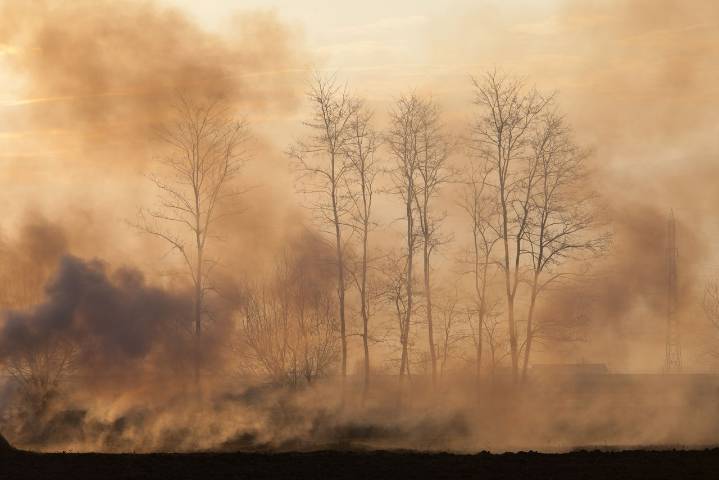 Los incendios forestales en Canadá se relacionan con más de 70 000 muertes prematuras en todo el mundo