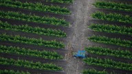 California vineyards leaning into the future through AI