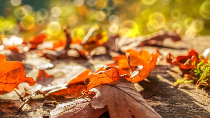 Understanding the difference between astronomical and meteorological fall