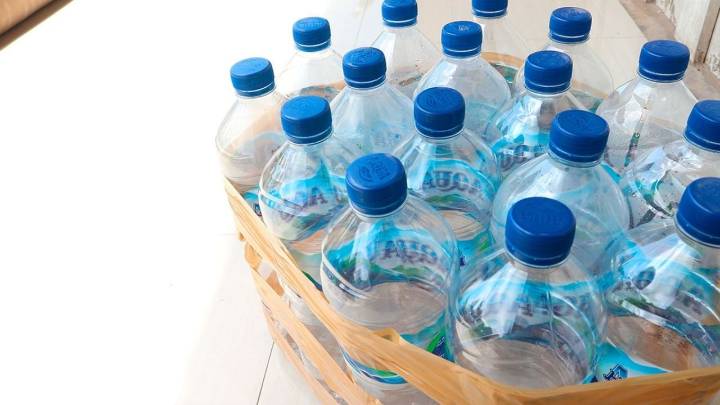 No tires las botellas de gaseosa vacías: creá estas flores re delicadas, fáciles de hacer y perfectas para decorar