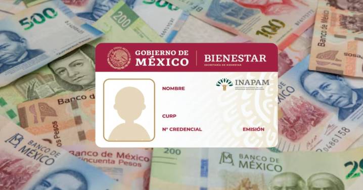 Aguinaldo INAPAM 2025: ¿Cuáles son los requisitos?