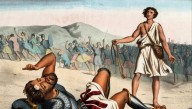 David Condemned For Executing Goliath Without Due Process