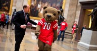Two College Students Killed a Bear and Skinned It in Their Dorm