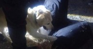 Detenido tras salir de Jujuy con un kilo de marihuana
