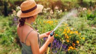The Fast-Growing Flowering Plant That'll Add A Touch Of Tropical Beauty To Your Yard