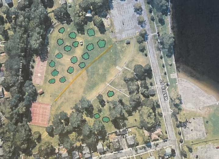 Officials present initial Burr's Hill Park tree planting plan in Warren
