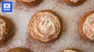 Tiramisu cookies with mascarpone icing