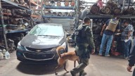 Catean Yonques en busca de vehículos robados y sustancias peligrosas