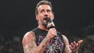 WWE Star CM Punk Names Wrestling Mount Rushmore, But Cheats