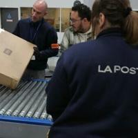 88 postal operators suspend services to US over tariffs: UN