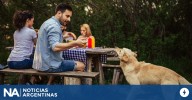 La calidad de los hábitos: qué significa compartir el horario de almuerzo con los perros, según la psicología