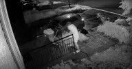 Montreal ding-dong-ditch: Police warn not to confront pranksters