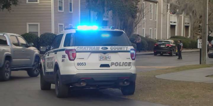 At least 13 vehicles illegally entered in Savannah today alone