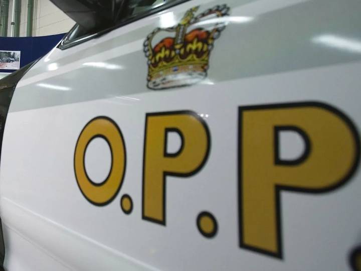 A multi-vehicle crash followed by fist fight on Hwy. 401 over the weekend