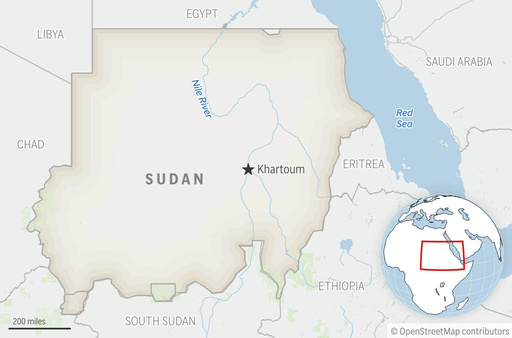 At least 11 children killed in el-Fasher drone strike, UN says