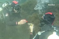 Diver Stages One-of-a-Kind Underwater Proposal in the Black Sea