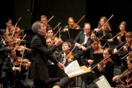 How many strings does a viola have? The Country Life Quiz of the Day, September 9, 2025