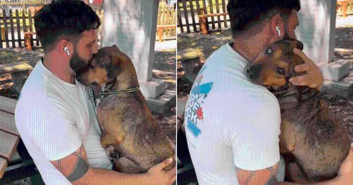 Sweet Dog Returned to Shelter, Still Hopes for Family Who Won’t Give Up