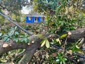Volunteer organizations aid in Hurricane Helene recovery