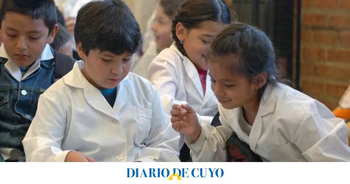 Cambios en el sistema educativo: incorporan una nueva materia obligatoria en todas las escuelas del país