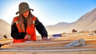 La Secretaría de Minería actualizó su base 2025: recursos y reservas de litio, cobre, oro, plata y uranio