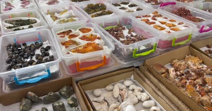 Rock solid: 2025 Tucson Gem, Mineral & Fossil Showcase drew large crowds, collected more in taxes
