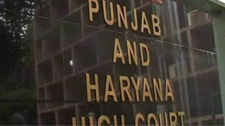 Easing the burden on trial courts: Soon, pay your traffic fines online in Mohali