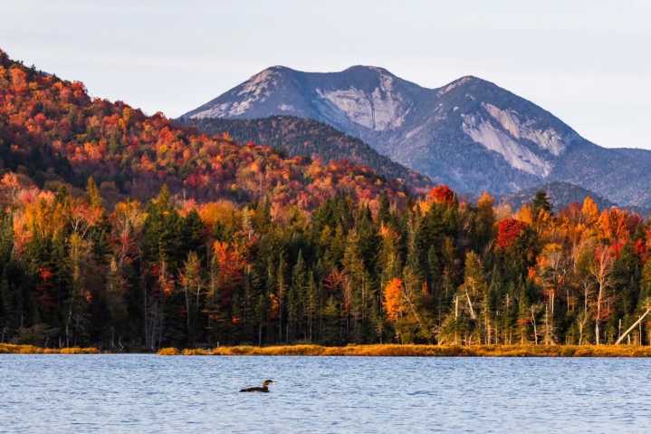 America’s best fall foliage spots revealed: See where the Adirondacks ranked