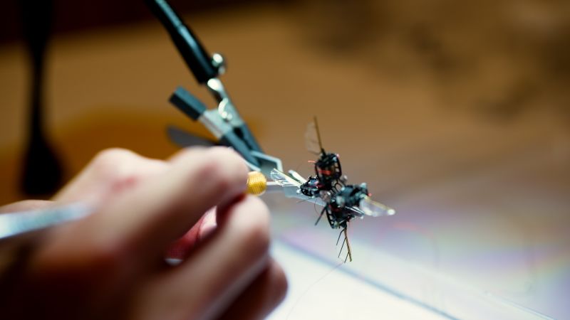 This bumblebee-like robot might one day pollinate plants on Mars