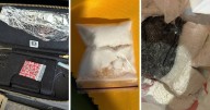 ACT police seize $200k in drugs during sting