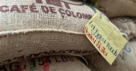 Café de Colombia, la producción nacional ya bordea los 15 millones de sacos en el último año a agosto del 2025